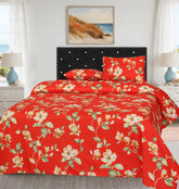 Double Bed Sheet NOS  099